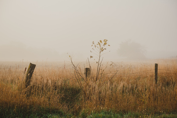 Foggy_Autumn_Field_Winterset