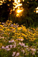 Prairie-at-Lone-Oaks-3